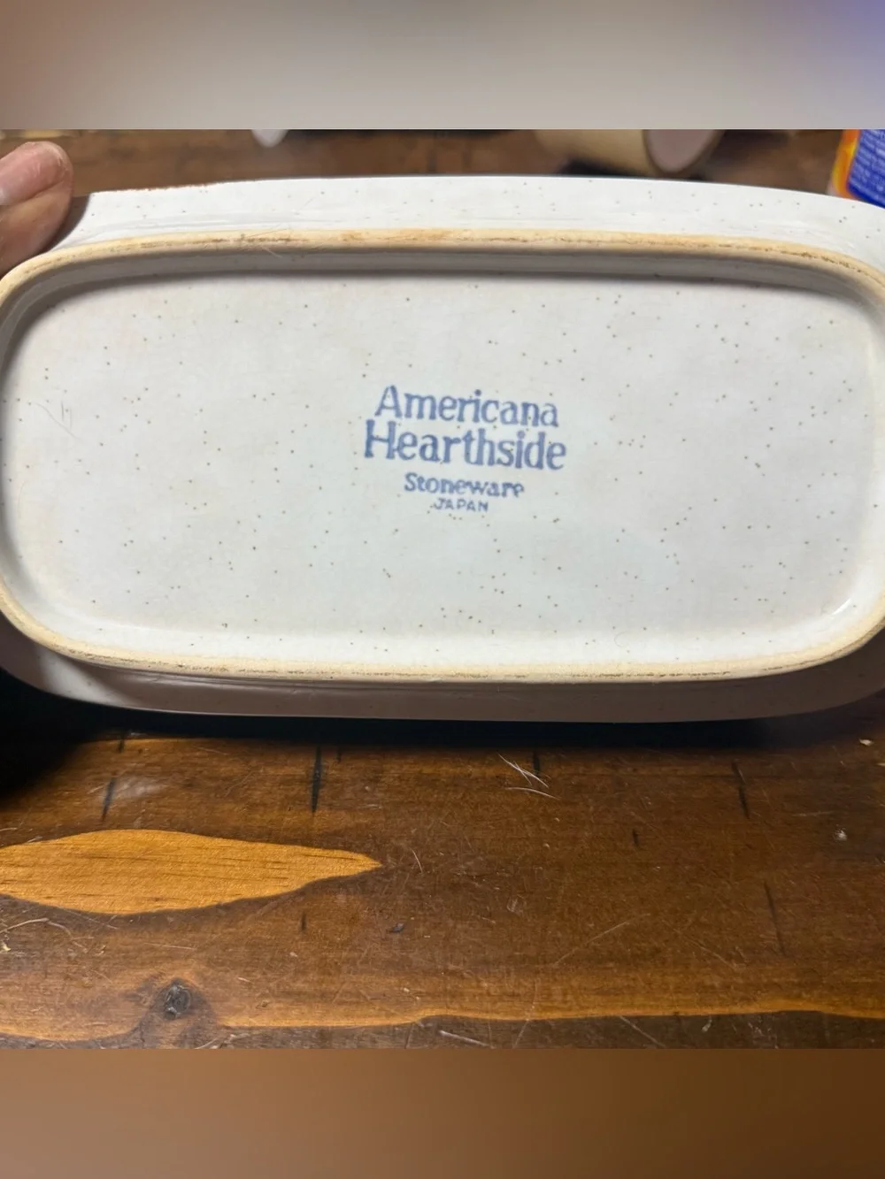 Vintage Americana Hearthside Stoneware Set -Made in Japan (11 Pieces)